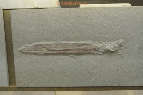 Museum-Berger-2013-0231