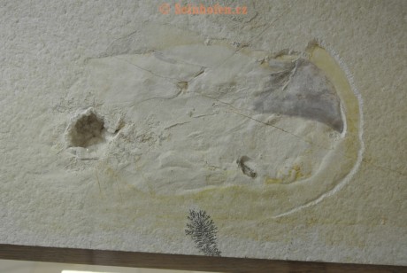 Museum-Berger-2013-0233