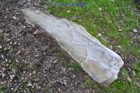 KarlovaStudanka-Sut-07-2013-0007