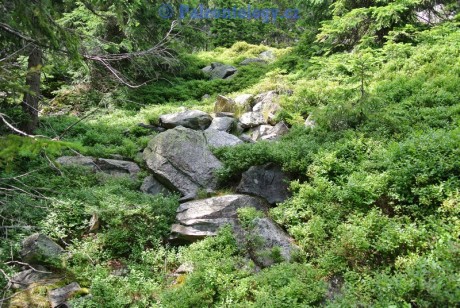 KarlovaStudanka-Sut-07-2013-0025