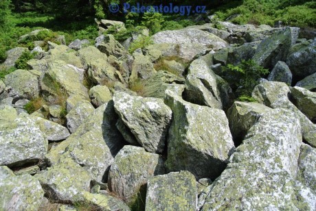 KarlovaStudanka-Sut-07-2013-0037