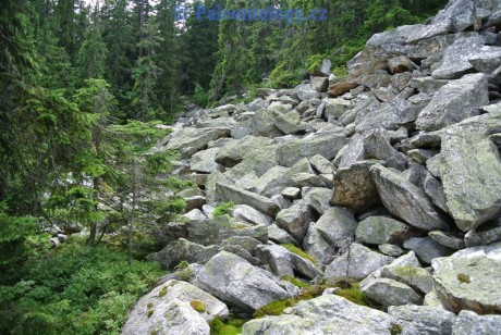 KarlovaStudanka-Sut-07-2013-0055