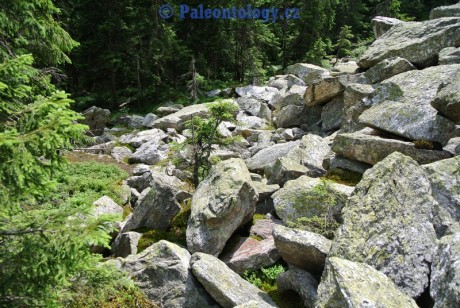 KarlovaStudanka-Sut-07-2013-0059