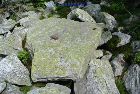 KarlovaStudanka-Sut-07-2013-0064