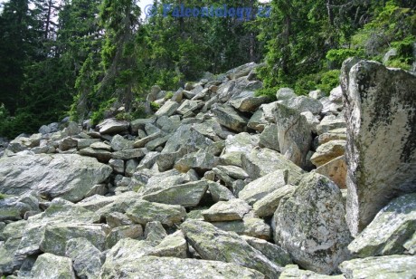 KarlovaStudanka-Sut-07-2013-0066