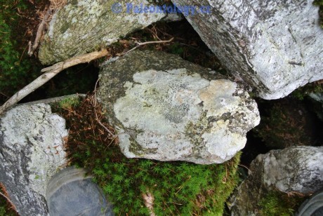 KarlovaStudanka-Sut-07-2013-0088