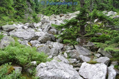 KarlovaStudanka-Sut-07-2013-0089