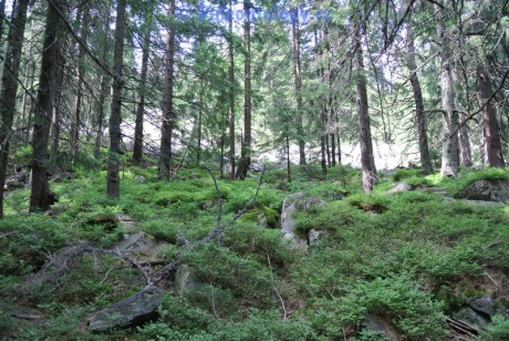 KarlovaStudanka-Sut-07-2013-0094