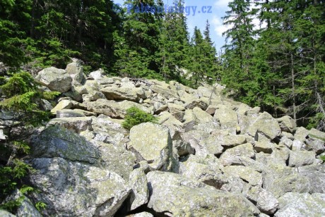 KarlovaStudanka-Sut-07-2013-0106