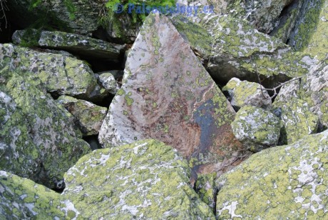 KarlovaStudanka-Sut-07-2013-0111