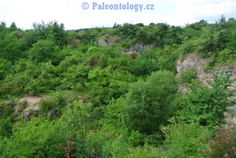 CelechoviceNaHane-RuzickuvLom-07-2013-0003