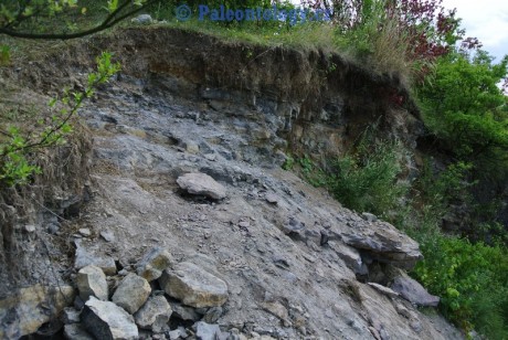 CelechoviceNaHane-RuzickuvLom-07-2013-0008