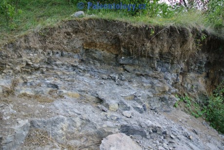 CelechoviceNaHane-RuzickuvLom-07-2013-0009