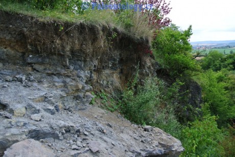 CelechoviceNaHane-RuzickuvLom-07-2013-0011