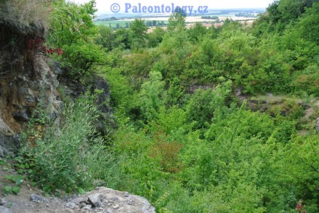 CelechoviceNaHane-RuzickuvLom-07-2013-0014