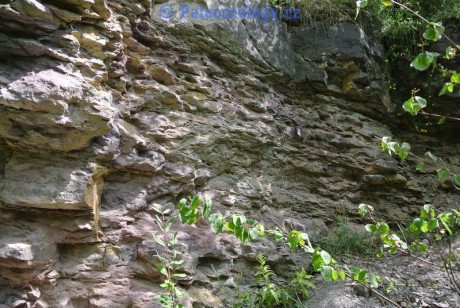 CelechoviceNaHane-RuzickuvLom-07-2013-0016