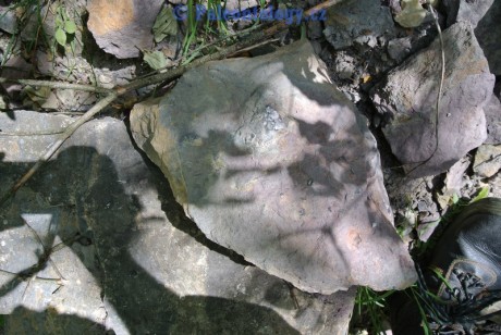 CelechoviceNaHane-RuzickuvLom-07-2013-0019