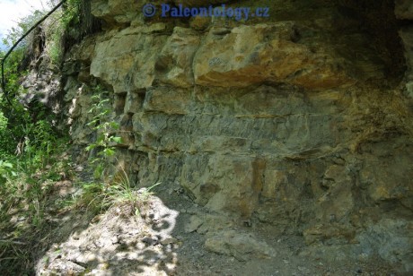 CelechoviceNaHane-RuzickuvLom-07-2013-0020