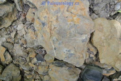 CelechoviceNaHane-RuzickuvLom-07-2013-0028