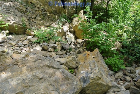 CelechoviceNaHane-RuzickuvLom-07-2013-0029