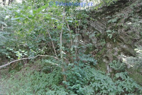 Mikolajice-Strazka-08-2013-0007