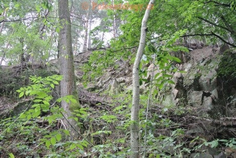 SucheLazce-Přerovec-08-2013-0003