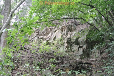 SucheLazce-Přerovec-08-2013-0005