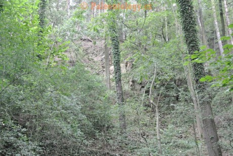 SucheLazce-Přerovec-08-2013-0006
