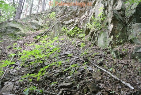 SucheLazce-Přerovec-08-2013-0008