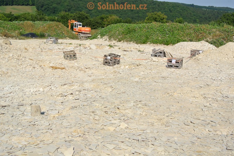 Muhlheim-Steinbruchareal-07-2013-0005