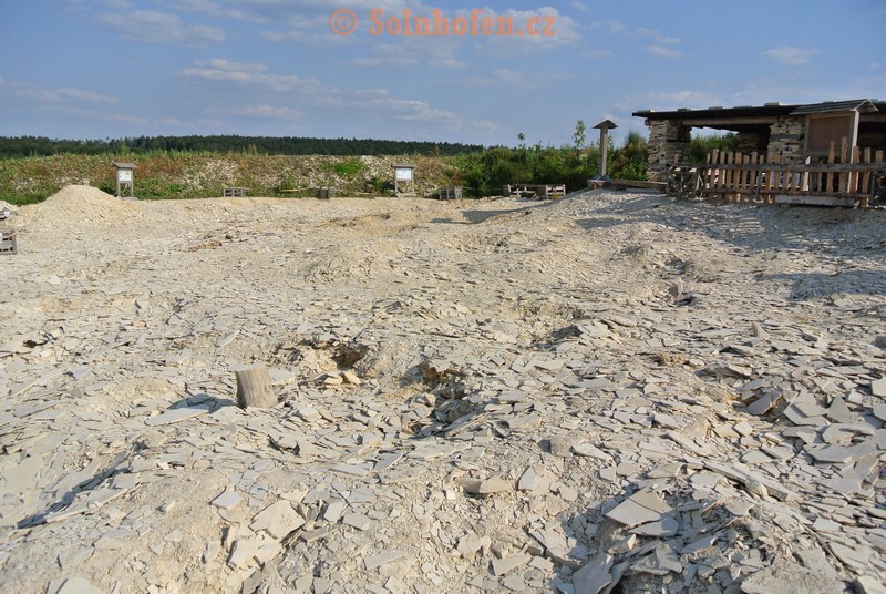 Muhlheim-Steinbruchareal-07-2013-0010