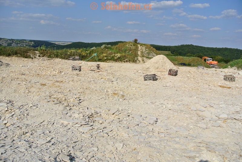 Muhlheim-Steinbruchareal-07-2013-0012