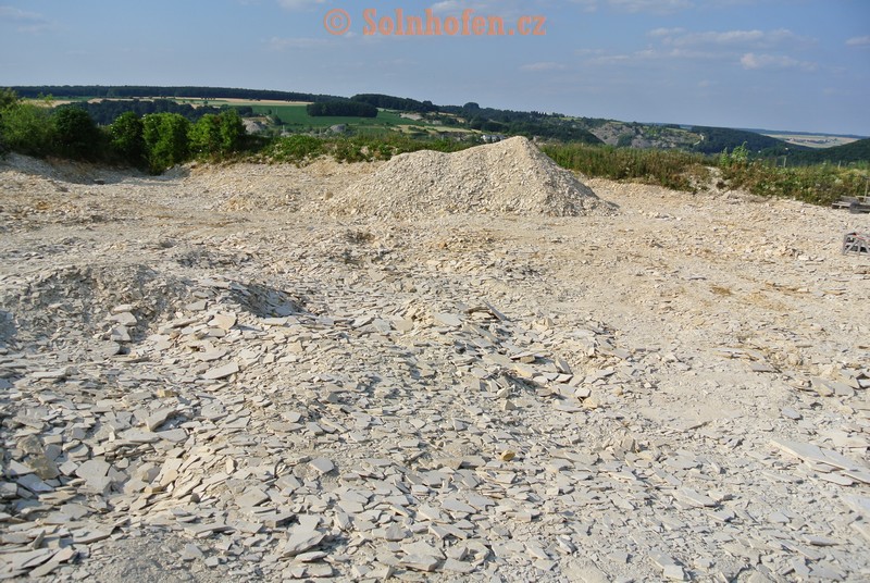 Muhlheim-Steinbruchareal-07-2013-0013