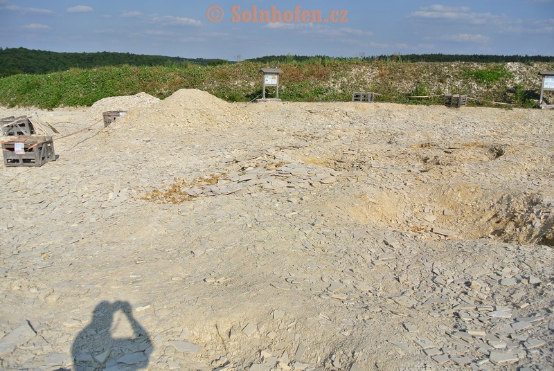 Muhlheim-Steinbruchareal-07-2013-0014