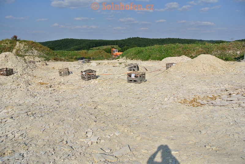 Muhlheim-Steinbruchareal-07-2013-0015