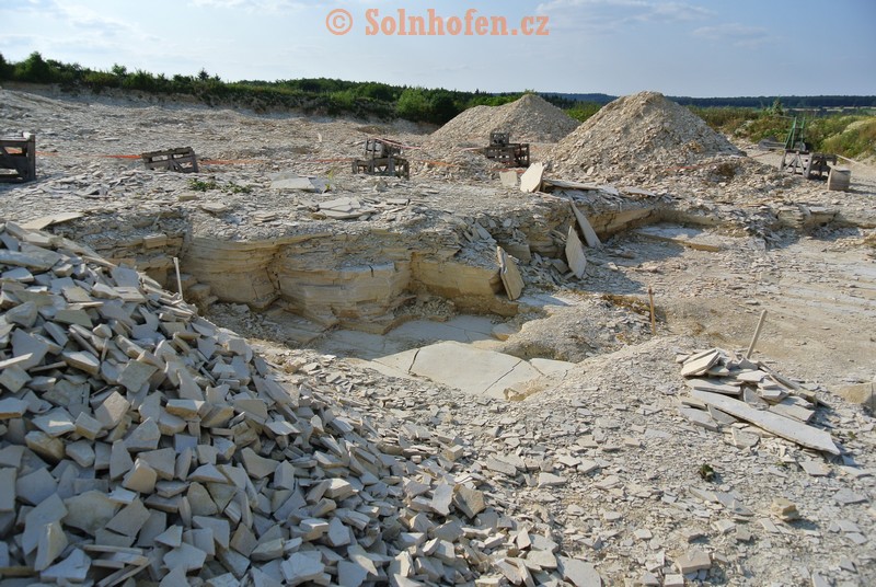 Muhlheim-Steinbruchareal-07-2013-0018