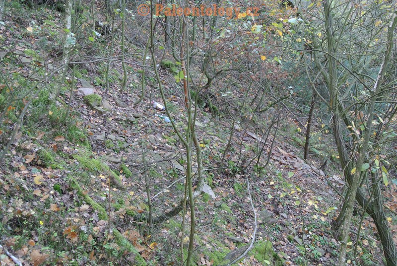 MokreLazce-Lipovice-23-10-2013-0001