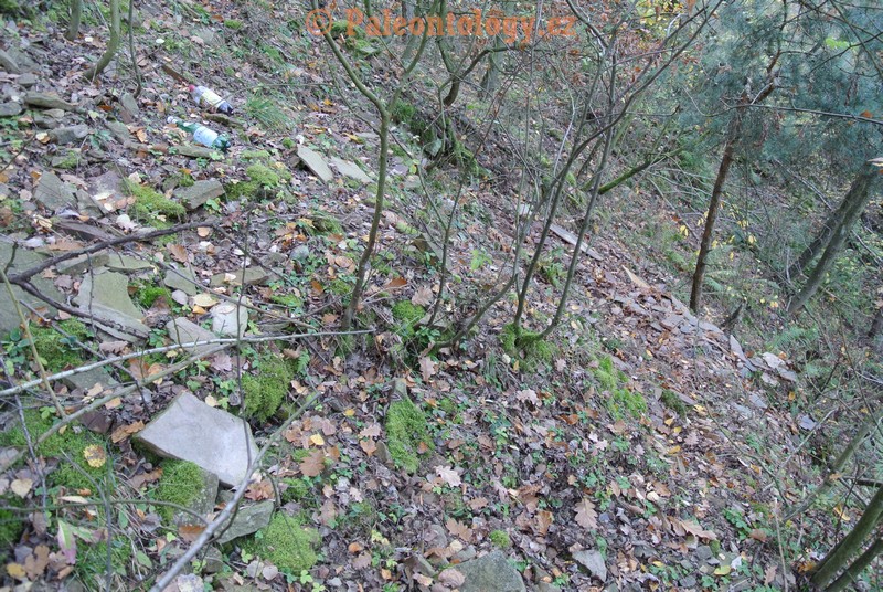MokreLazce-Lipovice-23-10-2013-0006