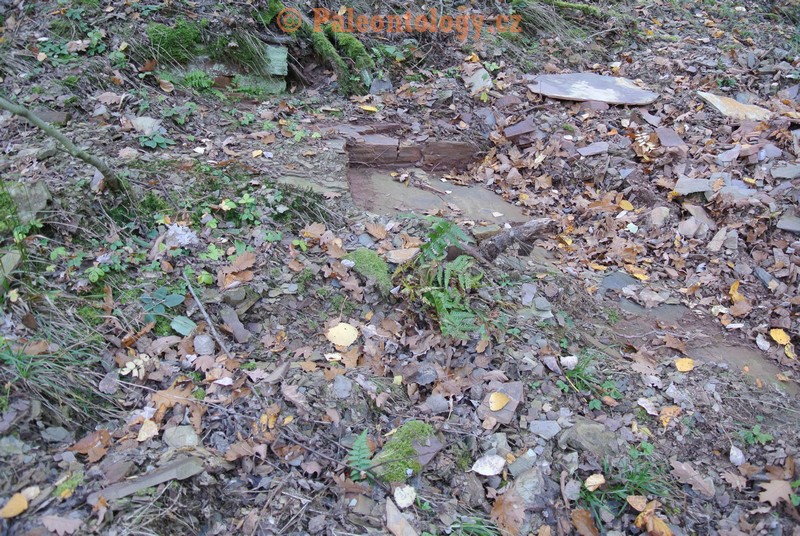 MokreLazce-Lipovice-23-10-2013-0007