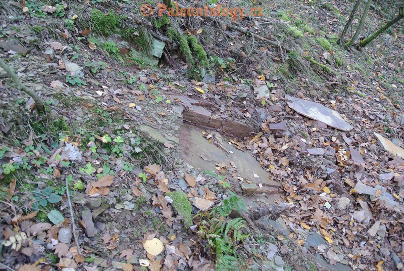 MokreLazce-Lipovice-23-10-2013-0008