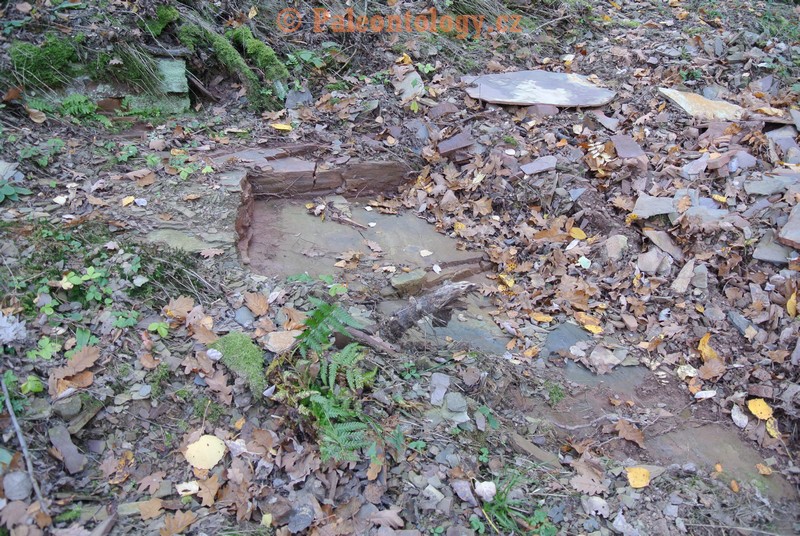 MokreLazce-Lipovice-23-10-2013-0010