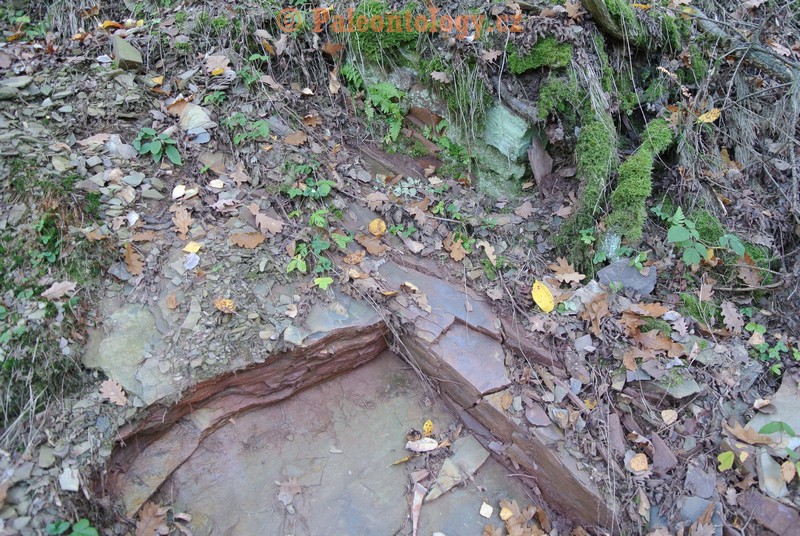 MokreLazce-Lipovice-23-10-2013-0013