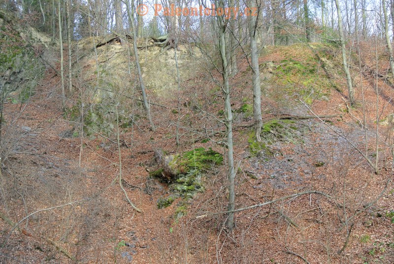 Kyjovice-BartuvMlyn-11-2013-0017