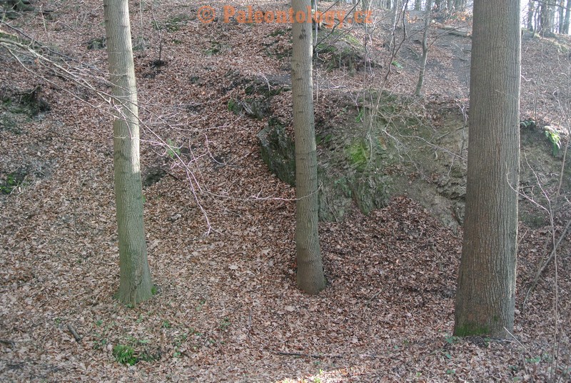 Bobrovníky-KravíDůl-12-2013-0004