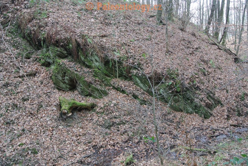 Bobrovníky-KravíDůl-12-2013-0009