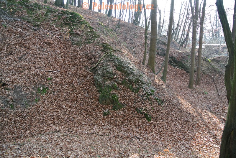 Bobrovníky-KravíDůl-12-2013-0011