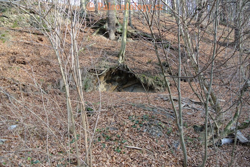 Bobrovníky-KravíDůl-12-2013-0015