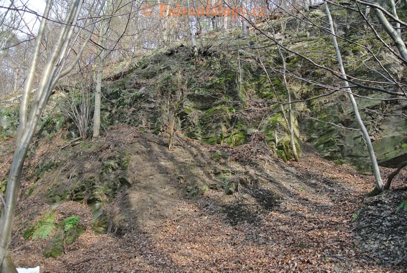 Bobrovníky-KravíDůl-12-2013-0024