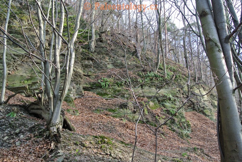 Bobrovníky-KravíDůl-12-2013-0025