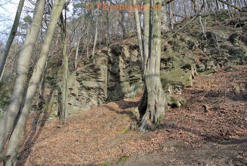 Bobrovníky-KravíDůl-12-2013-0030